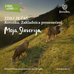 koroska cel kampanja MojaSlovenija_fb_ig2_14 (3)